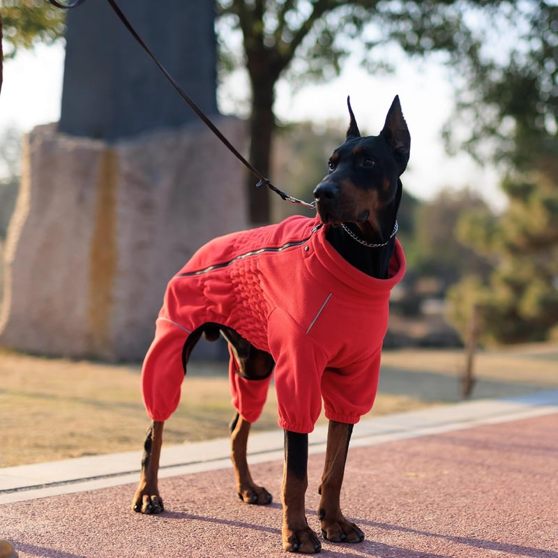 lovelonglong Szélálló Kutyakabát 4 Lábas Fleece Téli Kabát Cipzárral XL Piros