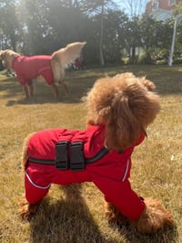 lovelonglong Vízálló Kutyakabát Reflektoros XL Méret Piros 8