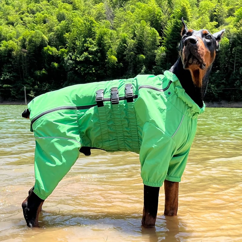 lovelonglong Vízálló Kutyakabát Reflektoros Zöld 5XL