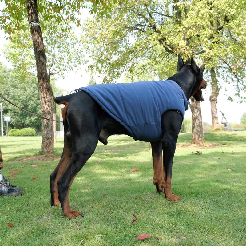Lovelonglong Vízálló Téli Kutyamellény Fleece Béléssel Gombos Sötétkék 2XL
