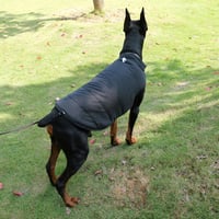 Lovelonglong Vízálló Téli Kutyamellény Fleece Béléssel Fekete XL 9
