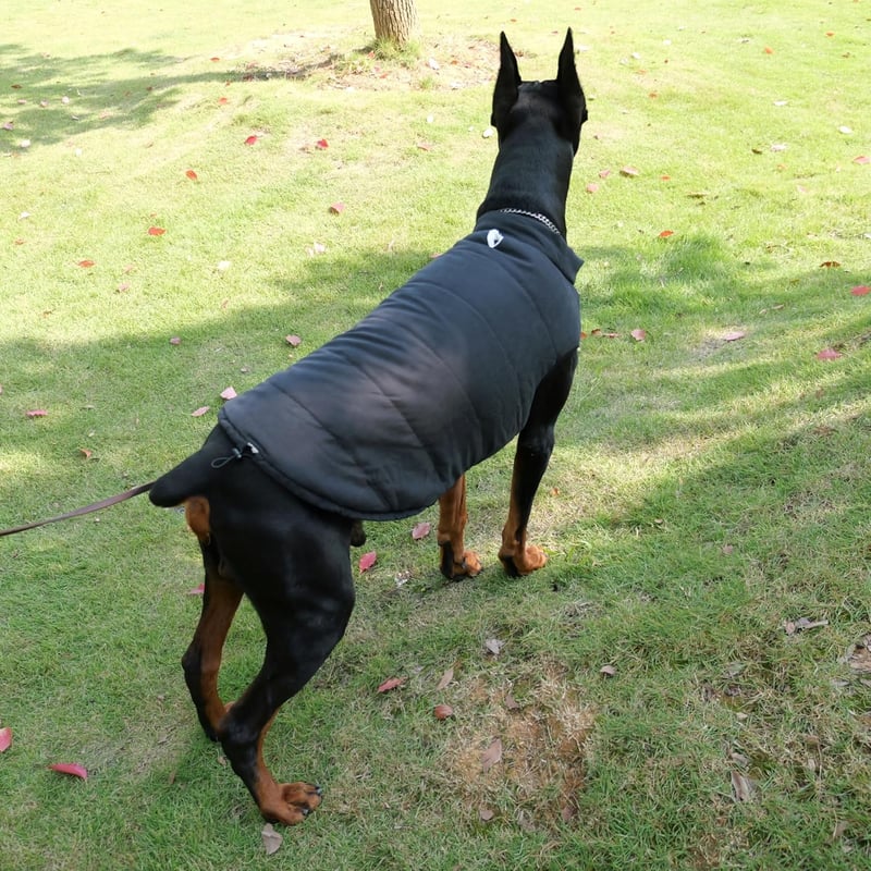 Lovelonglong Vízálló Téli Kutyamellény Fleece Béléssel Fekete XL