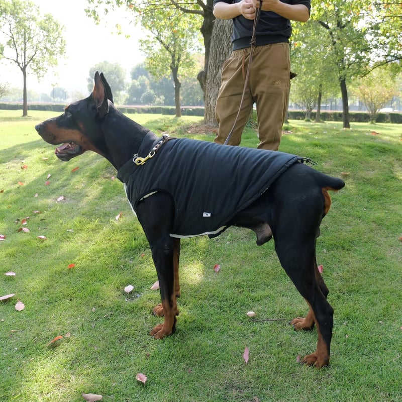 Lovelonglong Vízálló Téli Kutyamellény Fleece Béléssel Fekete XL