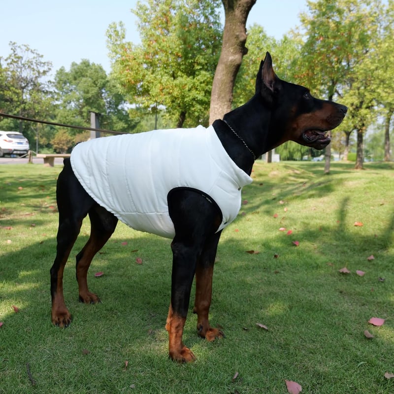Lovelonglong Vízálló Téli Kutyamellény Fleece Béléssel - Gomb Stílusú Kutyakabát Krém M