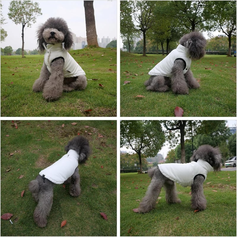 Lovelonglong Vízálló Téli Kutyamellény Fleece Béléssel - Gomb Stílusú Kutyakabát Krém M