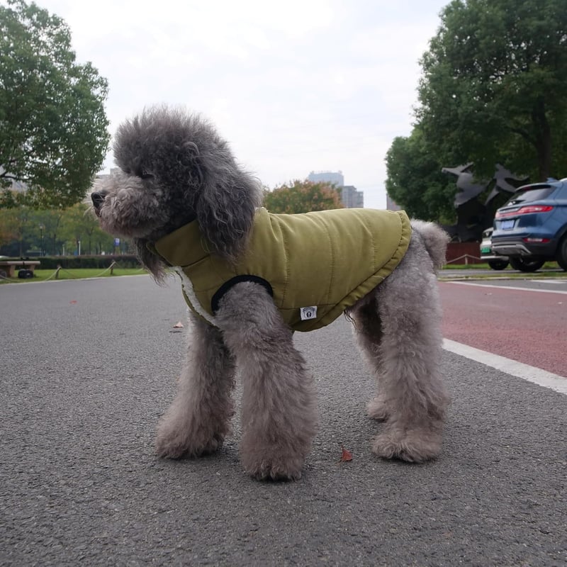 Lovelonglong Vízálló Téli Kutyamellény Fleece Béléssel - Gombos Kutyakabát Katonazöld 2XL
