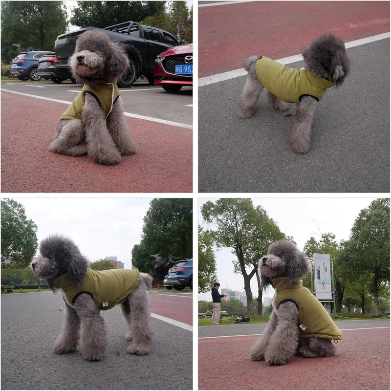 Lovelonglong Vízálló Téli Kutyamellény Fleece Béléssel - Gombos Kutyakabát Katonazöld 2XL