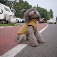 Lovelonglong Vízálló Téli Kutyamellény Fleece Béléssel Gombos Kávé 2XL 9