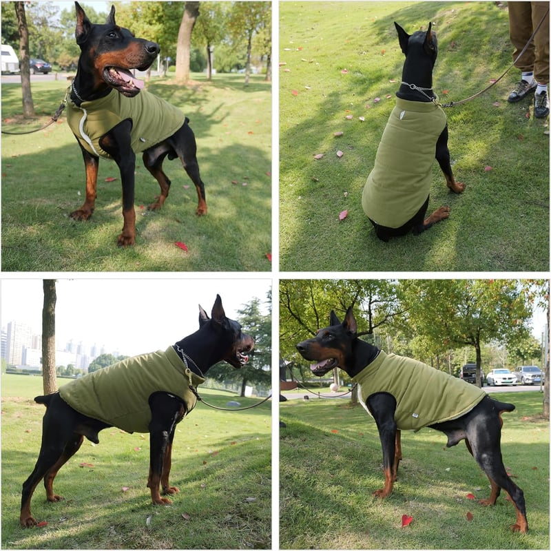 Lovelonglong Vízálló Téli Kutyamellény Fleece Béléssel - Gombos Kutyakabát Katonazöld 2XL