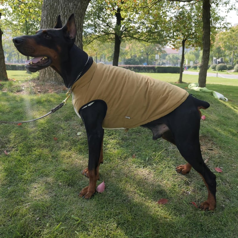 Lovelonglong Vízálló Téli Kutyamellény Fleece Béléssel Gombos Kávé 2XL