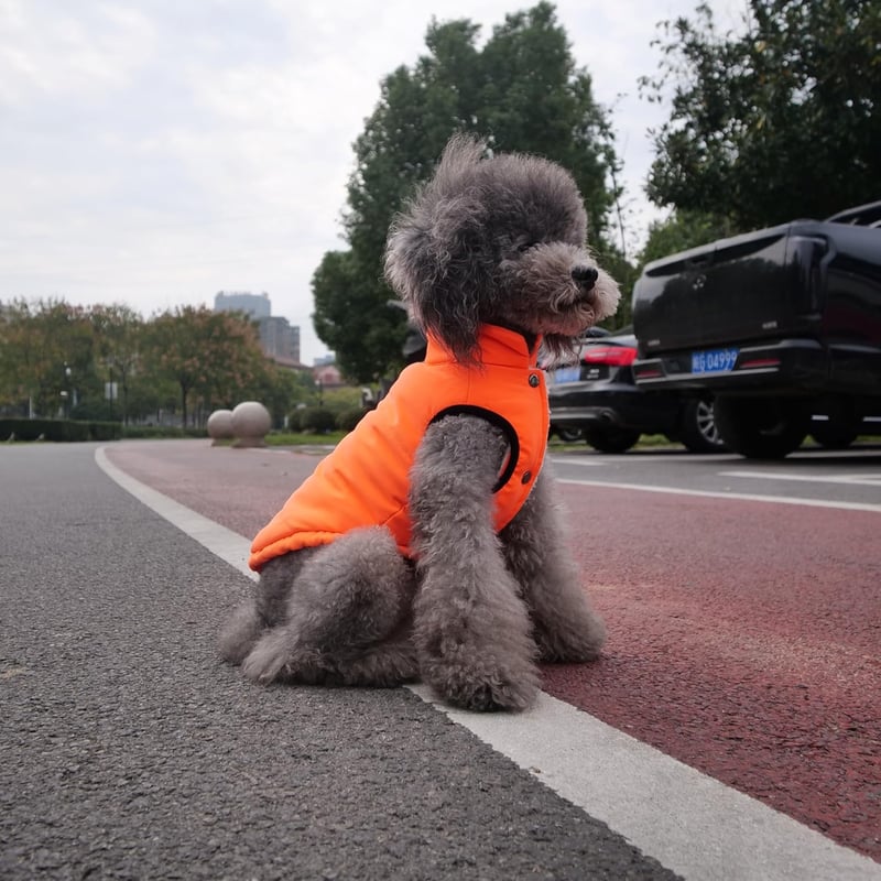 Lovelonglong Vízálló Téli Kutyamellény Fleece Béléssel Narancssárga 2XL