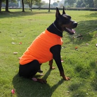 Lovelonglong Vízálló Téli Kutyamellény Fleece Béléssel Narancssárga 2XL 8