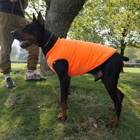 Lovelonglong Vízálló Téli Kutyamellény Fleece Béléssel Narancssárga 2XL 7