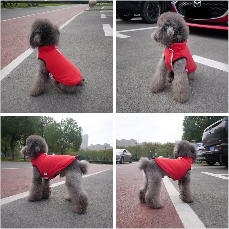 Lovelonglong Vízálló Téli Kutyamellény Fleece Béléssel Piros 2XL