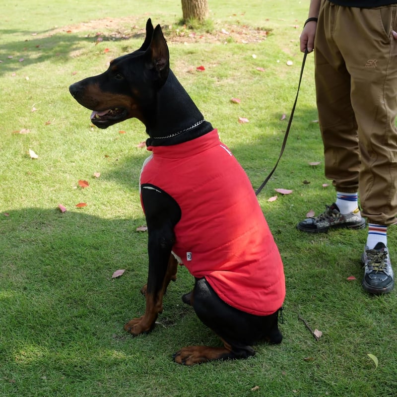 Lovelonglong Vízálló Téli Kutyamellény Fleece Béléssel Piros 2XL
