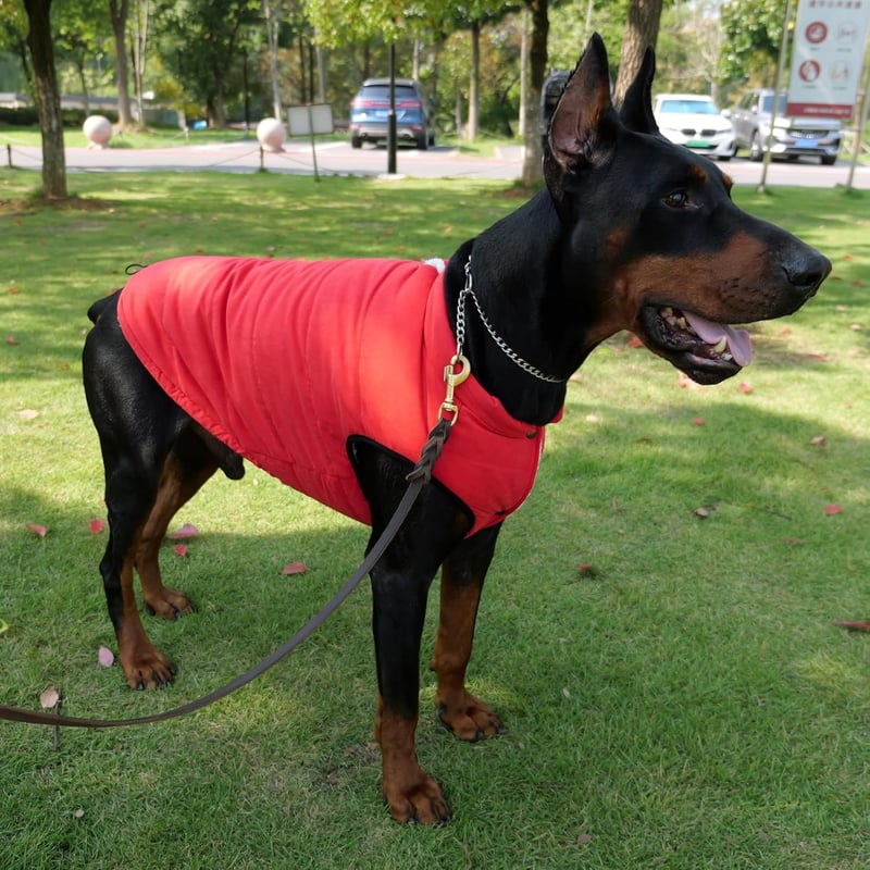 Lovelonglong Vízálló Téli Kutyamellény Fleece Béléssel Piros 2XL