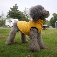 Lovelonglong Vízálló Téli Kutyamellény Fleece Béléssel Sárga 2XL 7