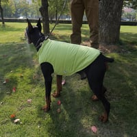 Lovelonglong Vízálló Téli Kutyamellény Fleece Béléssel Zöld 2XL 9