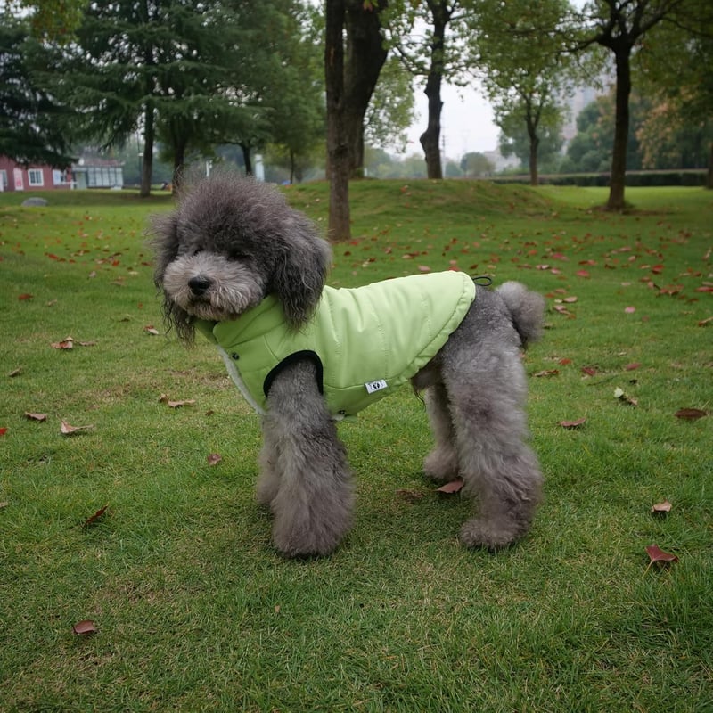 Lovelonglong Vízálló Téli Kutyamellény Fleece Béléssel Zöld 2XL