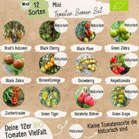 Loveplants Bio Mini Paradicsom Magok Szett - 12 Fajta Ritka és Öreg Koktél Paradicsom Magok 3