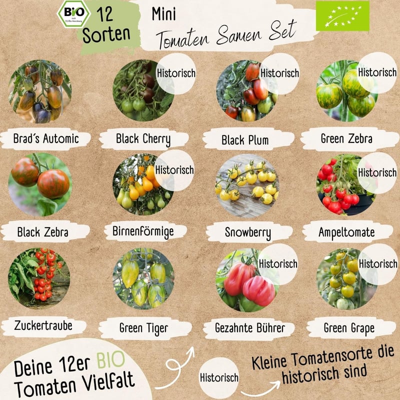 Loveplants Bio Mini Paradicsom Magok Szett - 12 Fajta Ritka és Öreg Koktél Paradicsom Magok