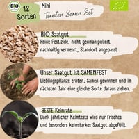 Loveplants Bio Mini Paradicsom Magok Szett - 12 Fajta Ritka és Öreg Koktél Paradicsom Magok 5
