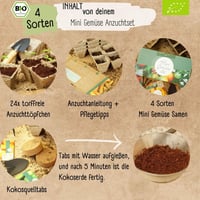 Loveplants bio mini zöldség vetőmag készlet - 4 féle balkon növény 2