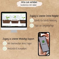 Loveplants bio mini zöldség vetőmag készlet - 4 féle balkon növény 6