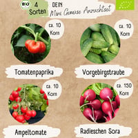 Loveplants bio mini zöldség vetőmag készlet - 4 féle balkon növény 4