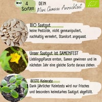Loveplants bio mini zöldség vetőmag készlet - 4 féle balkon növény 3