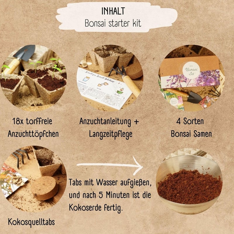 Loveplants Bonsai Kezdőcsomag - 4 Ritka Bonsai Mag Fenntartható Nélkül Műanyag