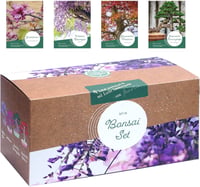 Loveplants Bonsai Kezdőcsomag - 4 Ritka Bonsai Mag Fenntartható Nélkül Műanyag 1