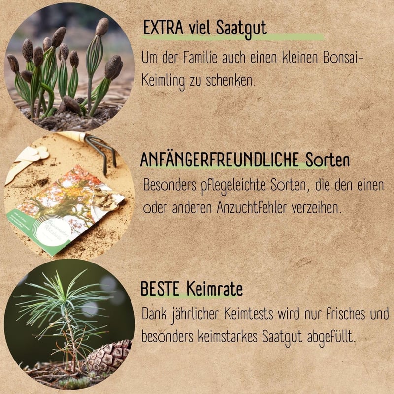 Loveplants Bonsai Kezdőcsomag - 4 Ritka Bonsai Mag Fenntartható Nélkül Műanyag