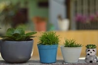 LOZACHE Szürke szloth kisméretű kerámia virágcserép szett 2 db pozsgás, kaktusz, bonsai növényekhez beltérre és erkélyre 7