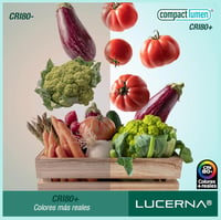 LUCERNA Négyzet Alakú LED Mennyezeti Lámpa, 6W, Hideg Fehér Fény 6500K, 620 Lumen, Modern Stílusú Műanyag Plafon Világítás, 6 db Csomag 7