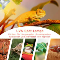 LUCKY HERP Terrárium Melegítő Lámpa 100W UVA Fénnyel, 2 Darabos Csomag Hüllőknek, Teknősöknek, Szakállas Agámáknak 6