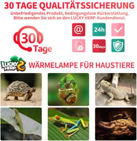 LUCKY HERP Terrárium Melegítő Lámpa 100W Vörös Infravörös Fűtőlámpa 2db Hüllőknek Teknősöknek Szakállas Agámáknak 7
