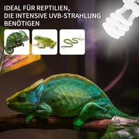 Lampă terariu LUCKY HERP UVB, UVA UVB 5.0, E27 compactă 13W, lumină albă, pentru agame cu barbă, țestoase, șerpi, șopârle, reptile 4