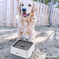 LumoLeaf 2L Kutyaivó Tál Szűrővel, Utazó Vízadagoló Kutyáknak - 2L Grey 3