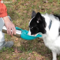 LumoLeaf 800ml Kutyaivó Palack Utazáshoz, Rozsdamentes Acél Vízpalack Szürke - gray 9