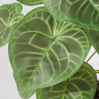 LUWENER Műnövény Dekorációs Zöld Leveles Növény 35 cm Irodai Fürdőszobai Lakberendezés 7