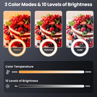 LUXSURE 10,5" LED gyűrűlámpa állvánnyal, 2 telefontartóval és Bluetooth távirányítóval 5