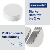 magnetoplan Ergo Large magnet, 34 mm x 12,5 mm, 10 ks, červený 3