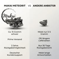 Makai Campo del Cielo valódi meteorit hitelességi tanúsítvánnyal és fadobozzal 9