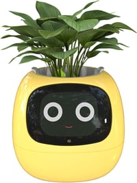 Ghiveci inteligent Masdio galben cu afișaj pentru timp și temperatură și animații ambientale pentru decor interior 1