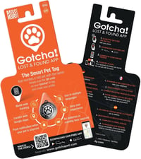 Max & Molly Gotcha Smart ID kisállat azonosító medál 3