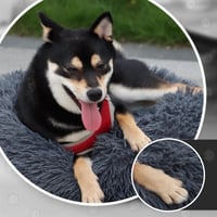 MDDK DY Okrúhly pelech pre mačky a menšie psy 50 cm – Mäkký plyšový košík, prateľný, svetlobéžová farba 3