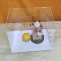 Vitrină din acril transparent MEEC cu fundal alb, montabilă pe tejghea, pentru figurine de acțiune, 55 x 45 x 40 cm 1