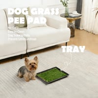 MEEXPAWS Umelý trávnik pre psov 44x34 cm s podnosom – Vnútorná toaleta pre psov do bytu – 2 náhradné trávnaté podložky a 2 absorpčné vložky – Rýchly odtok 2
