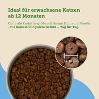 MERA Cats Nature suha hrana za mačke s okusom pastrve 2 kg – prehrana bez šećera i žitarica 5